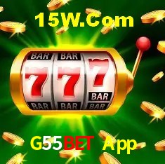 Segurança e performance na plataforma G55Bet App